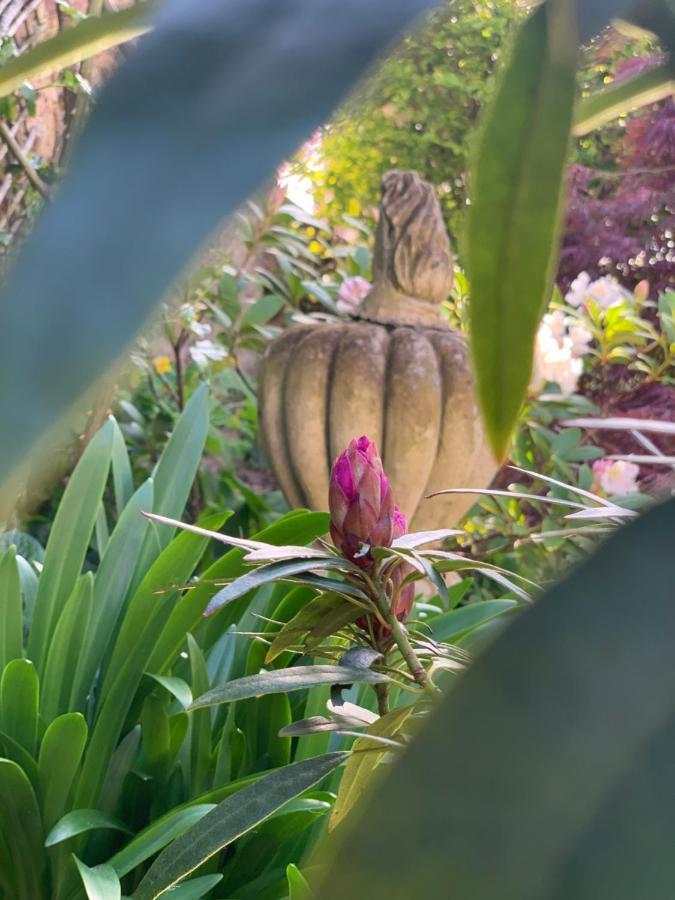 Cote Jardin Bed & Breakfast Sainte-Suzanne  Ngoại thất bức ảnh
