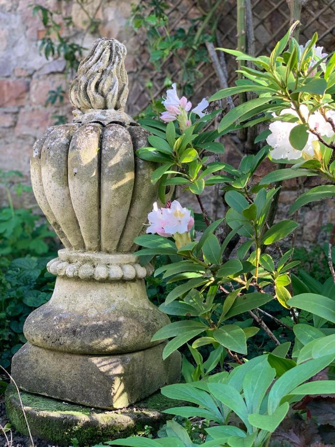 Cote Jardin Bed & Breakfast Sainte-Suzanne  Ngoại thất bức ảnh